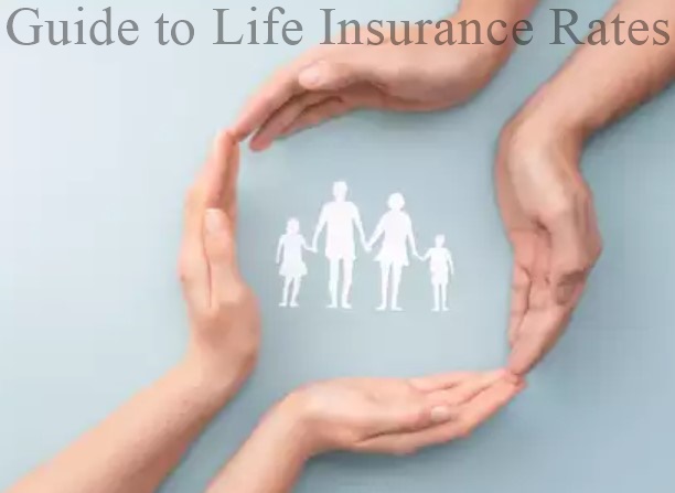 A Comprehensive Guide to Life Insurance Rates